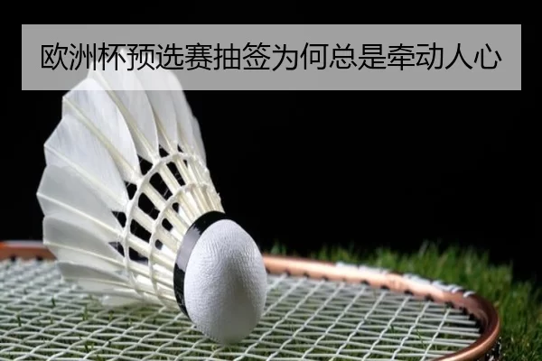欧洲杯预选赛抽签为何总是牵动人心 | mksports